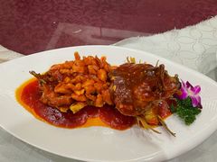 松鼠桂鱼-新聚丰菜馆(太监弄店)