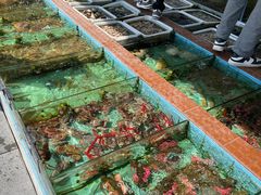 -景好海鲜餐厅(大鹏必选旅游店)