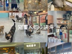 -Honey Bacca 哈尼芭卡高端萌宠(朝阳大悦城店)