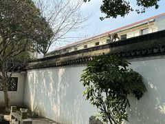 -上海醉白池公园