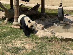 -石家庄市动物园