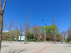 -永定河休闲森林公园