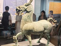 -广西壮族自治区博物馆