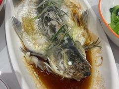 -醉美东江·三文鱼·烧鸡公