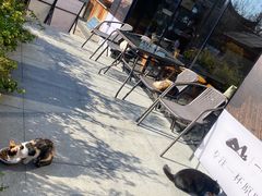 -一叶觅山(半边街店)