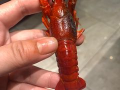 -川骄海鲜自助(河东店)
