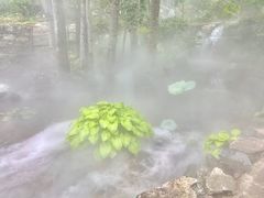 -幽岚山·童话森林
