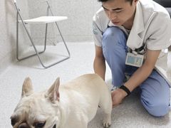 -谐和贝康宠物医院24小时·宠保定点(急重症转诊中心)