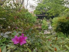 -南京市民俗博物馆(甘熙故居)