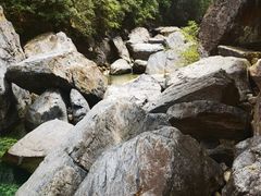 -石台牯牛降景区