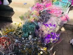 -宝鸡东道花鸟鱼虫市场(吉利花园商场店)