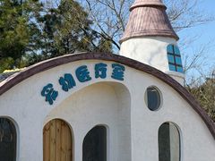 -茅山东方盐湖城景区