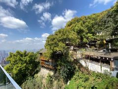 -南山植物园