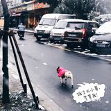 那么好吃的东西我居然不爱吃！我来了个去的