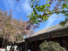 -荣国府