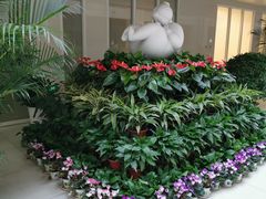 -北京协和医院(东单院区)