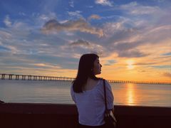 -宝安西湾红树林湿地公园