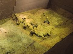 -秦始皇帝陵博物院(兵马俑)