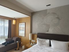 -石家庄万象天成假日酒店