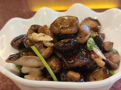 凉拌香菇-金庆国际酒店-自助餐
