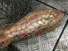 -东江湖游水三文鱼美食城