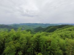 -莫干山风景区