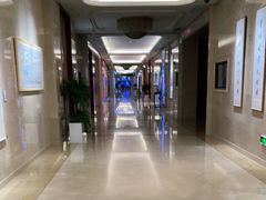 -郑州新郑国际机场T2航站楼-贵宾厅B区