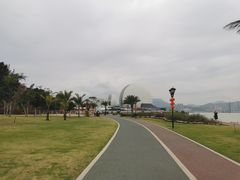 -野狸岛