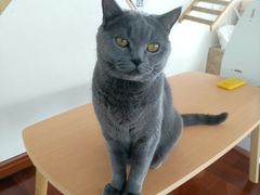-Catmate·猫肥家润(金润铂宫店)
