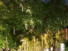 -大雁塔北广场音乐喷泉