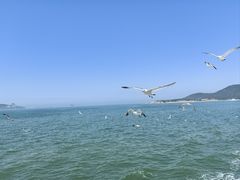 -刘公岛景区