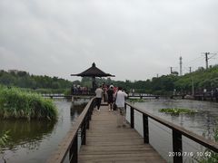 -前关湿地公园