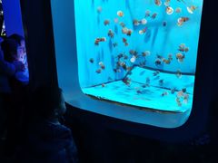 -泉城欧乐堡海洋极地世界