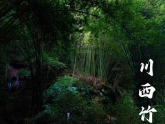 -川西竹海景区