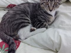 -宠颐生宠物医院·骨外科·犬猫全科诊疗中心(池州店)