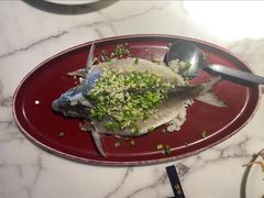 -钟菜·粤菜点心·宴请(海上世界·汇港二期店)