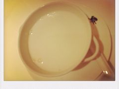 iphone_upload_pic-嘉麟楼