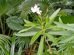 -人民公园(罗湖区)