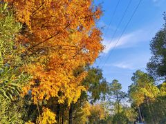 -宁波儿童公园(鄞州区)