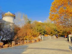 -蠡湖中央公园