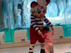 -帝企鹅自助餐厅•儿童岛•真企鹅(长隆企鹅酒店)