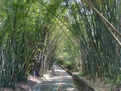 -广东茂名森林公园
