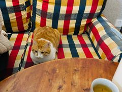 -水牛石手工水果茶店