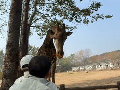 -大连森林动物园