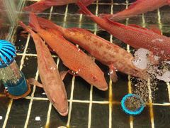 -江南府第·萧山宴(钱江世纪城店)