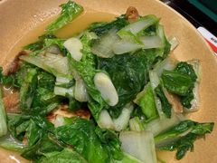 -廖川菜(太阳宫店)