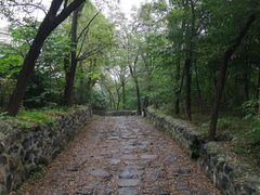 -阳台山自然风景区