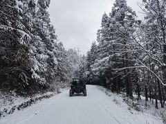 -武陵山森林公园