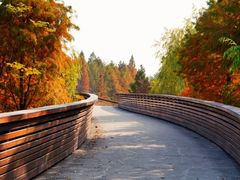 -昆山城市生态森林公园