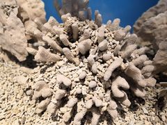 -多彩贵州城极地海洋世界